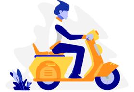 Profissional Trimestral